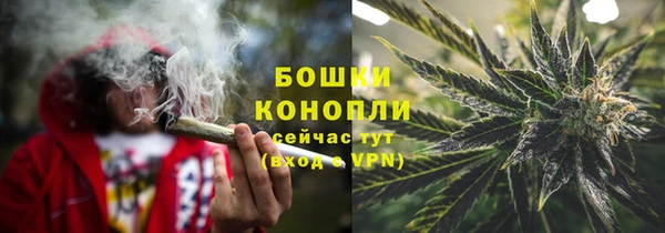 дурь Арсеньев