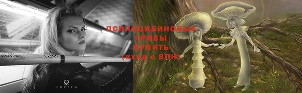 дурь Арсеньев