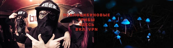 дурь Арсеньев