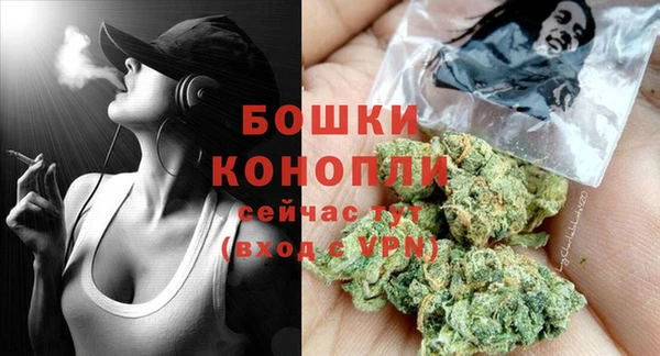 Альфа ПВП Аркадак