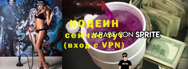 дурь Арсеньев