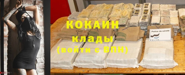 дурь Арсеньев