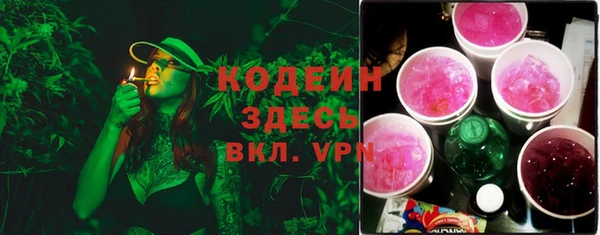 дурь Арсеньев