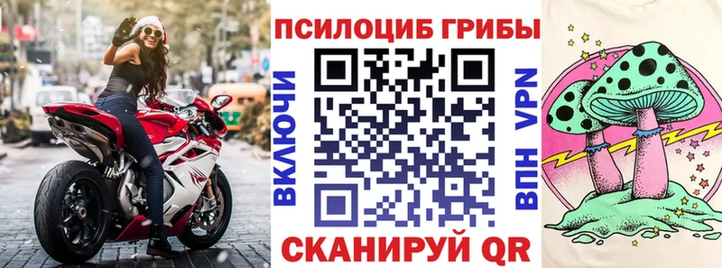 хочу   Осинники  Псилоцибиновые грибы GOLDEN TEACHER 